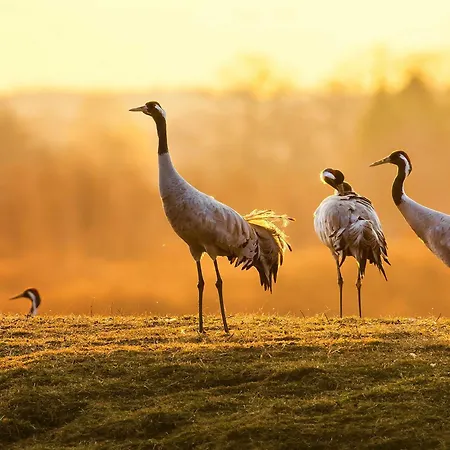 Hafenliebe Mit Blick Ueber Den Warener Stadthafen Βάρεν